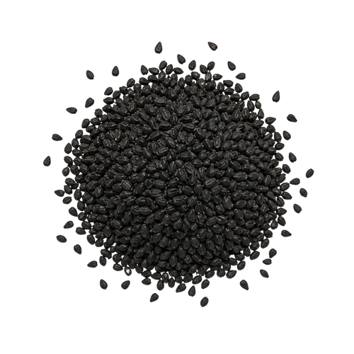 Black Seed Extract (Nigella sativa)
