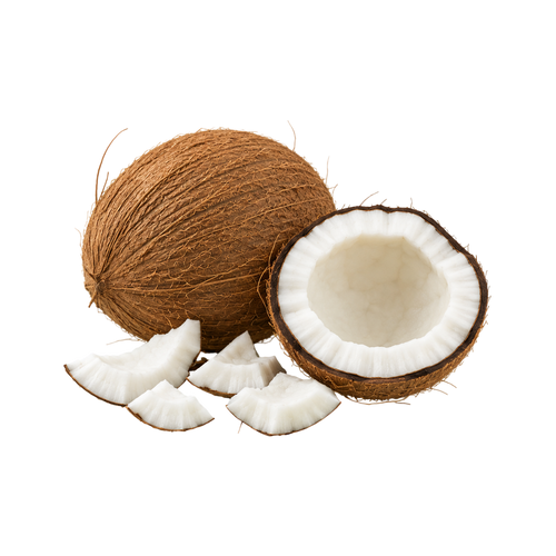 Coconut Extract (Cocos nucifera)