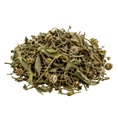 Bhringraj Extract (Eclipta prostrata)