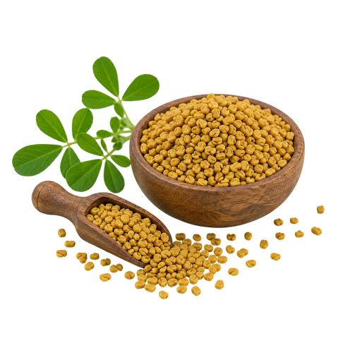 Fenugreek Seeds (Trigonella foenum-graecum)