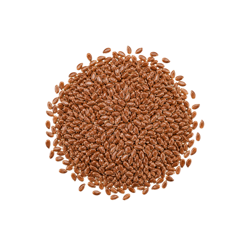 Flax Seeds Extract (Linum usitatissimum)