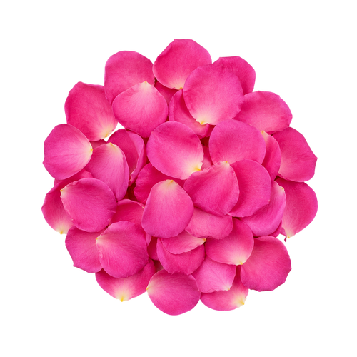 Rose Petal Extract (Rosa damascena)
